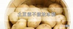 土豆能不能放冰箱优质