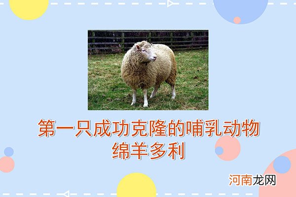 克隆是什么意思优质