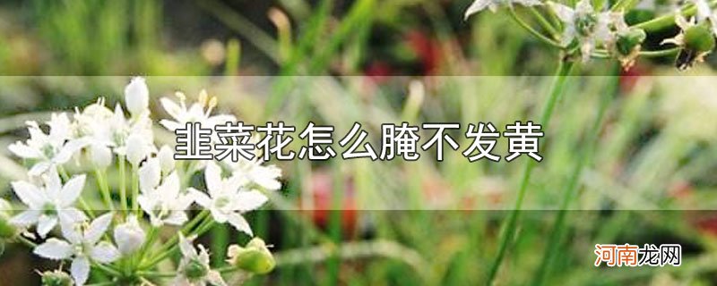 韭菜花怎么腌不发黄优质