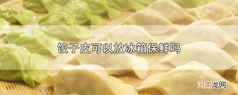 饺子皮可以放冰箱保鲜吗优质