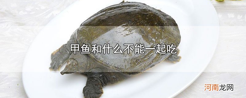 甲鱼和什么不能一起吃优质