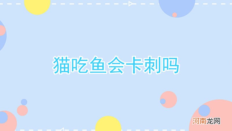 猫吃鱼会卡刺吗优质