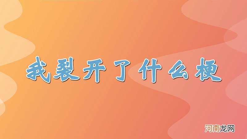 我裂开了什么梗优质