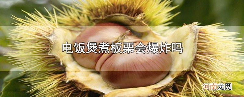 电饭煲煮板栗会爆炸吗优质