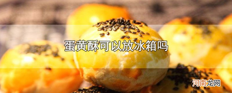 蛋黄酥可以放冰箱吗优质