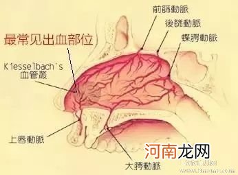 处理烧烫伤必须要掌握的方法