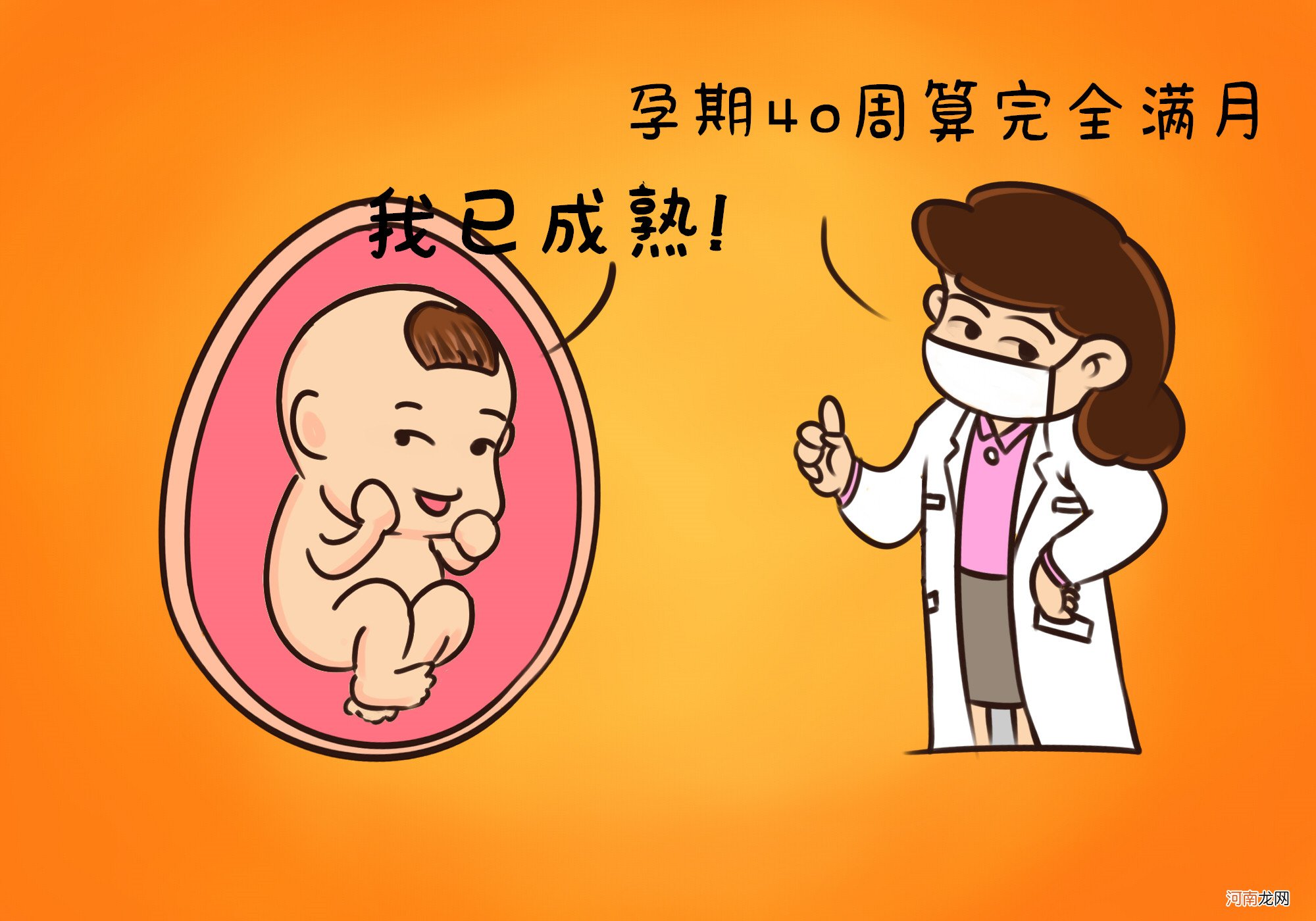 胎儿发育分阶段，迎来“猛涨期”时，准妈妈三种应对可助力发育