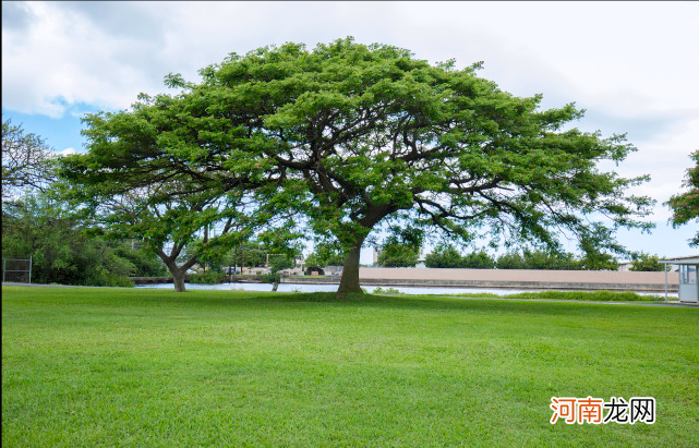 华为天才少年，年薪201万，本科却只是民办三本？逆袭靠的是父母的等待