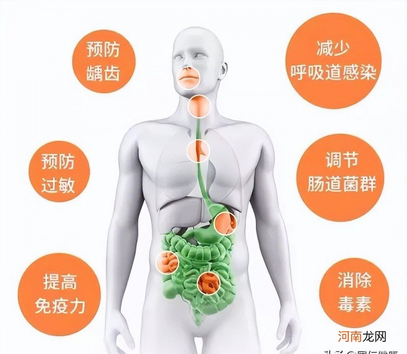 吃益生菌后的反应与应对 吃益生菌胃痛怎么回事