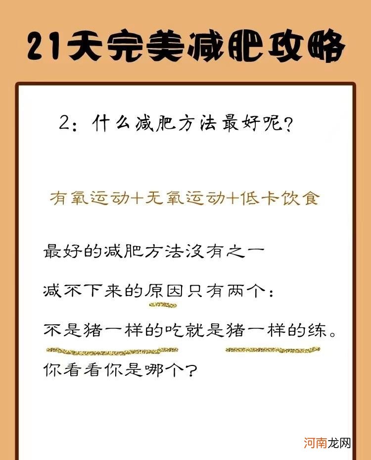 减肥有哪些严重的错误观点 21天完美减肥攻略