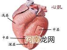 小儿心肌炎的临床表现