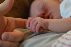 触摸对婴儿的重要性有哪一些