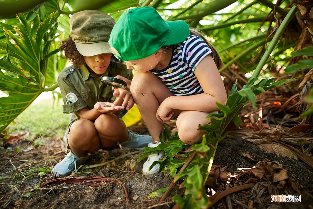 孩子喜欢研究昆虫：教孩子认识自然的世界和自己