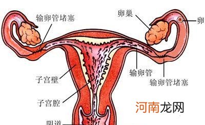 月经量少影响怀孕吗 月经不调会导致不孕吗