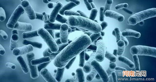 解开“超级细菌”之谜