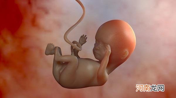 孕期“胎停育”会有这3个征兆，孕妈别大意，占一个就快去医院