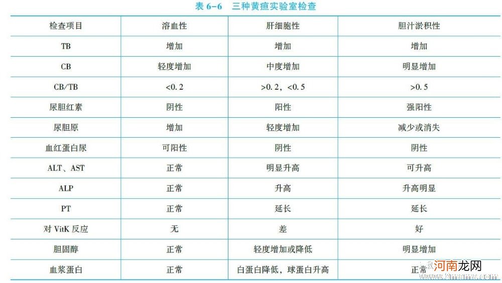 临床医师内科学：黄疸