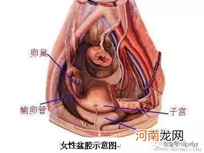 便秘是急性腹痛的常见病因