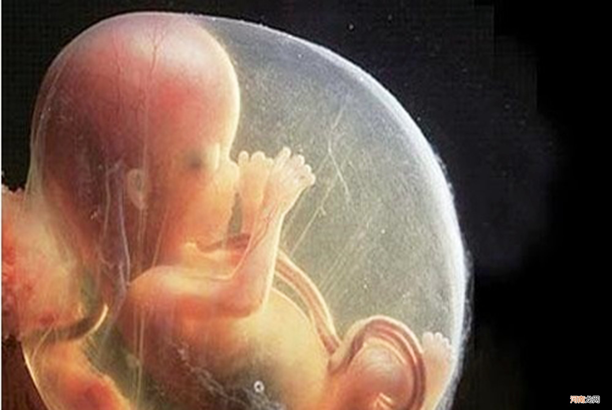 胎儿也会喊“饿”？孕妈几大表现是胎儿在“催饭”了，千万别忽视