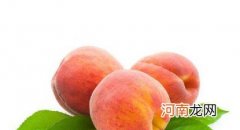 桃子属于凉性水果吗 桃子属于寒性水果吗