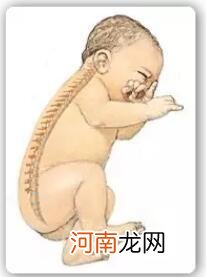 从小给孩子睡枕头,会给孩子身体带来伤害,附枕头正确挑选方式