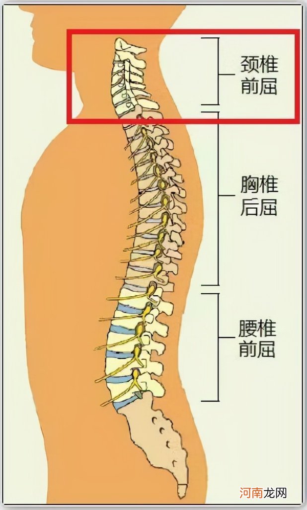 从小给孩子睡枕头,会给孩子身体带来伤害,附枕头正确挑选方式