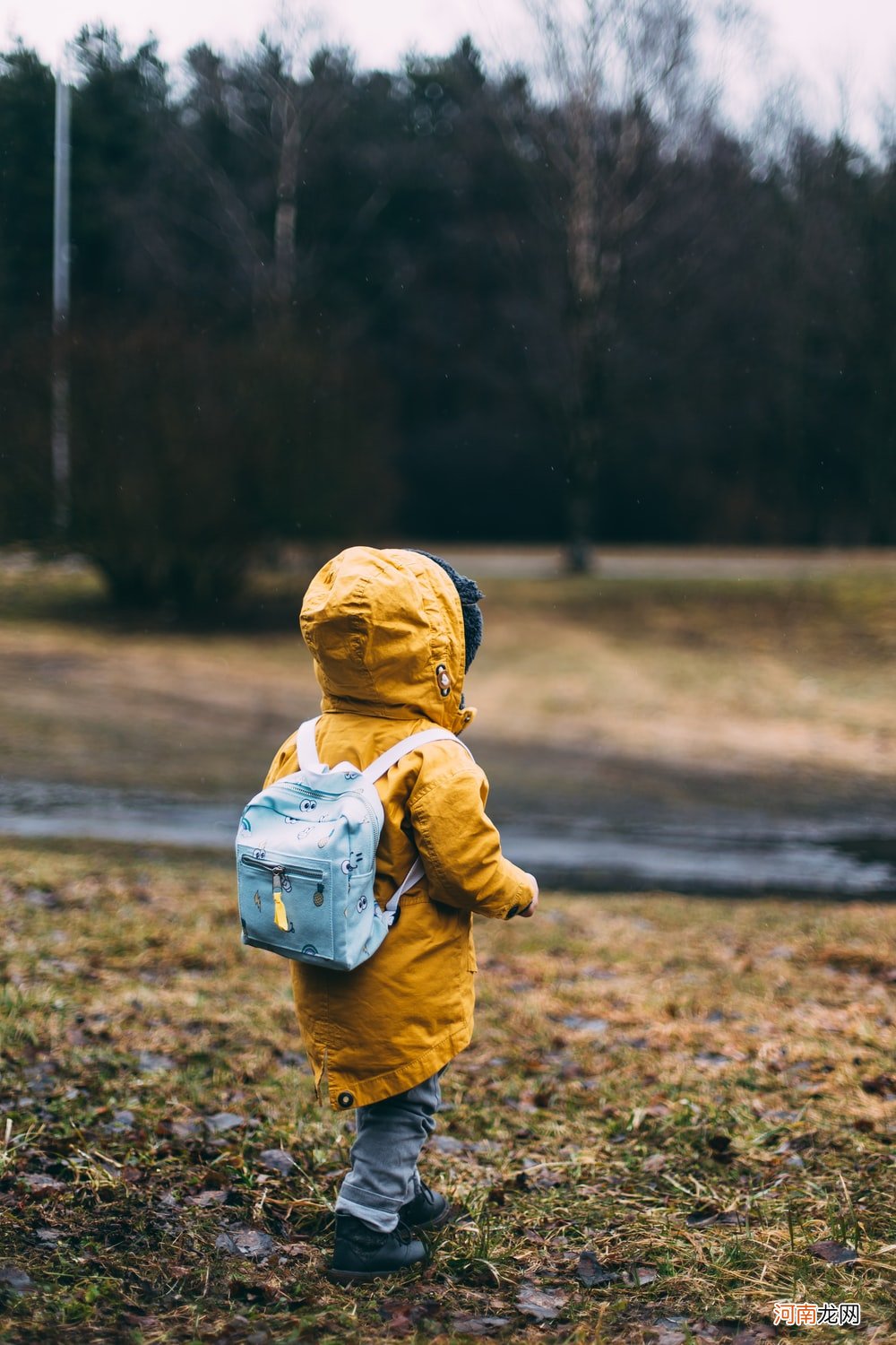 知乎大v：你的夸奖和鼓励，决定了孩子的高度