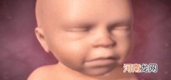 胎儿发育的标准 胎儿在子宫里长什么样