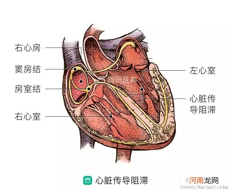 孩子心脏早搏怎么办？