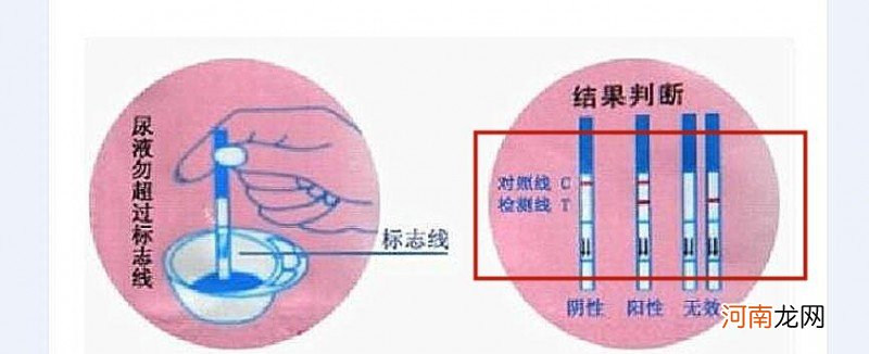 怀孕检测试纸检测出来 怀孕多久可以用测孕纸测出来