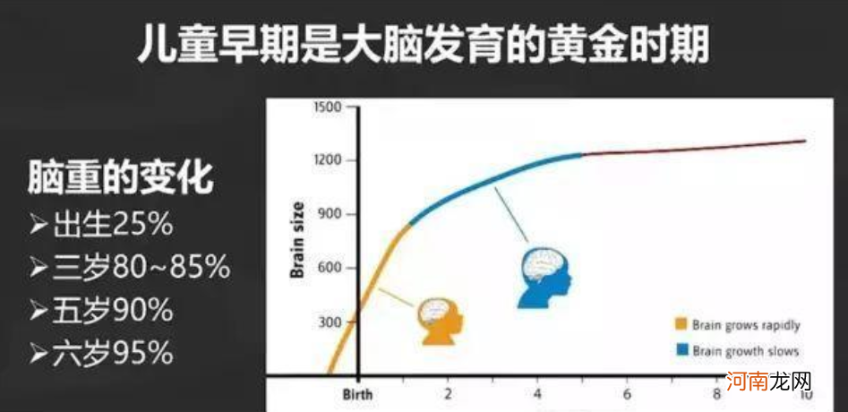 哈佛大学研究：3岁前，宝宝多接受这些“刺激”，大脑会更聪明