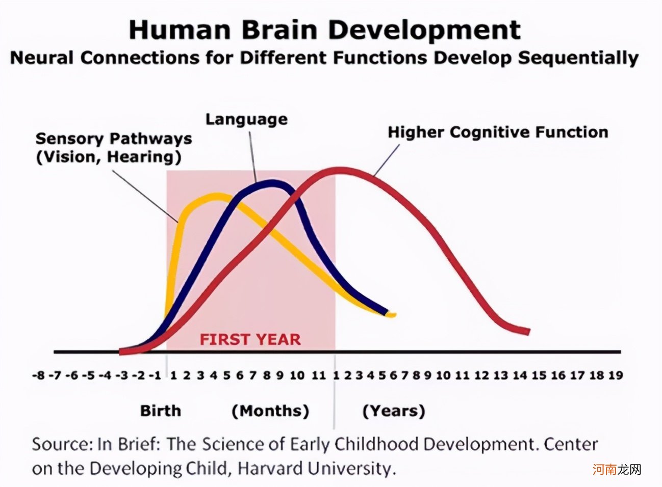 哈佛大学研究：3岁前，宝宝多接受这些“刺激”，大脑会更聪明