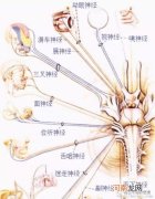 儿童脑损伤后的恢复措施