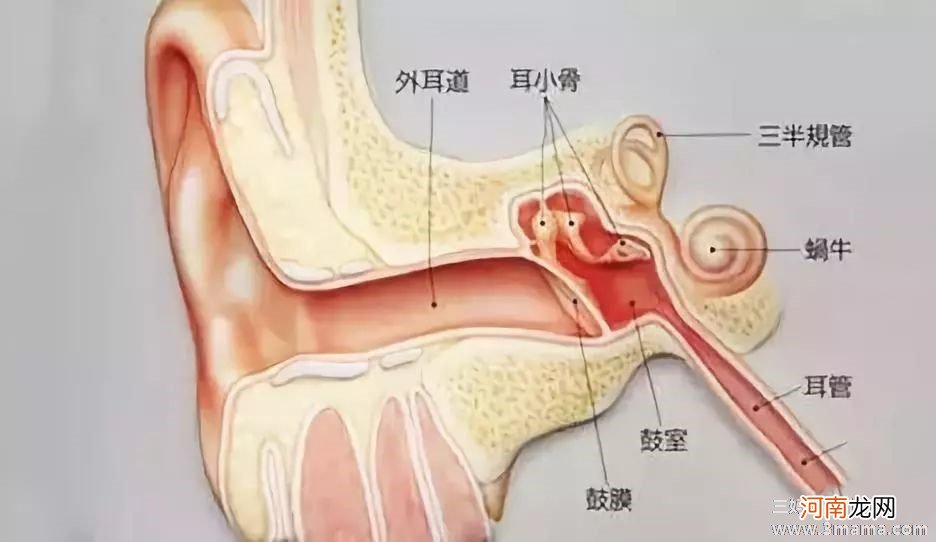 儿童游泳需防急性外耳道炎