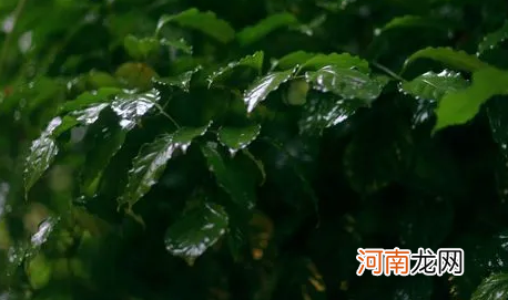 2022清明节天津会下雨吗