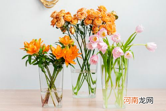 醒花是花头还是枝泡