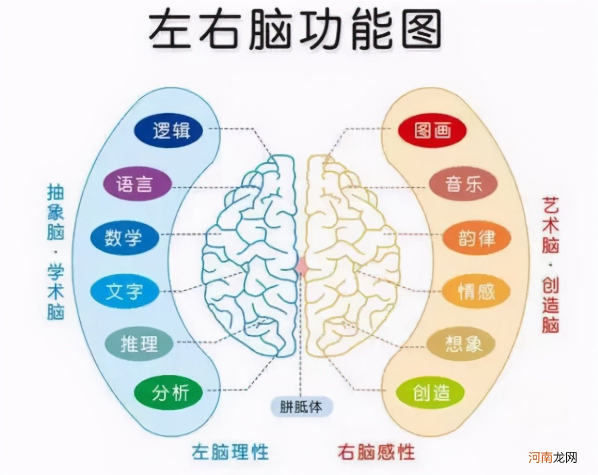 美国心理学家：高智商儿童的确有很多共同点，但不是靠遗传