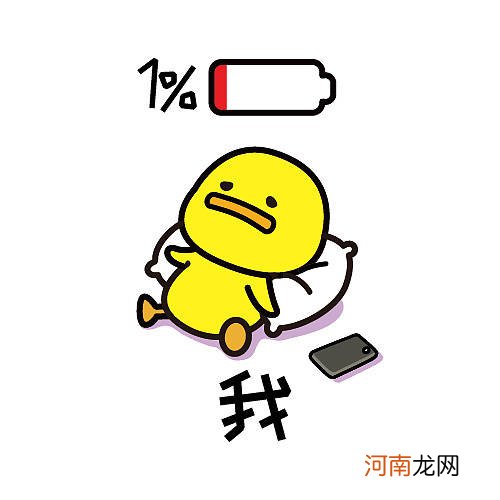 快看看这全世界最会躺平的一家人是怎么自愈的