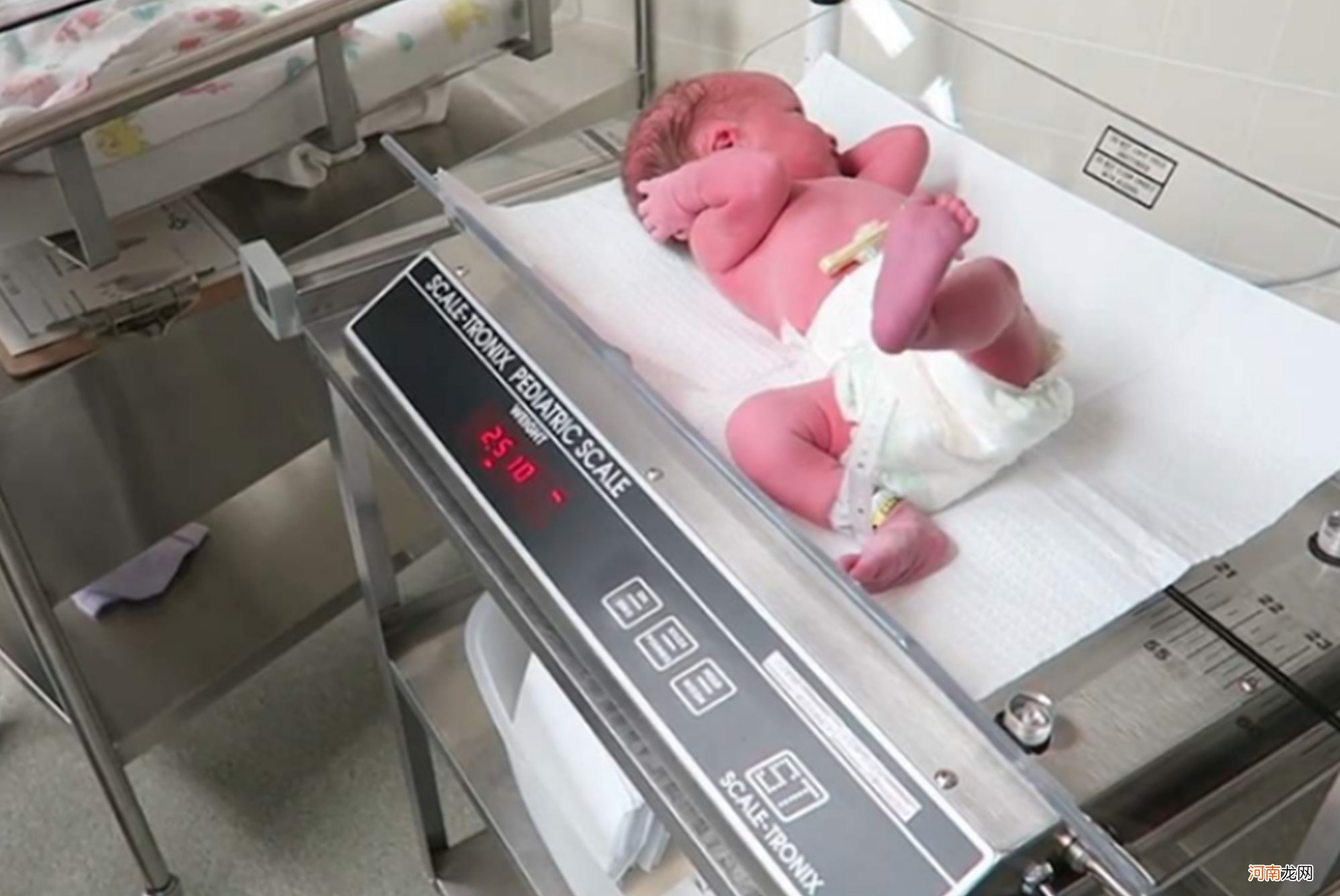 宝宝出生时的“斤两”，暗示了将来智商高低？别不信，有科学依据