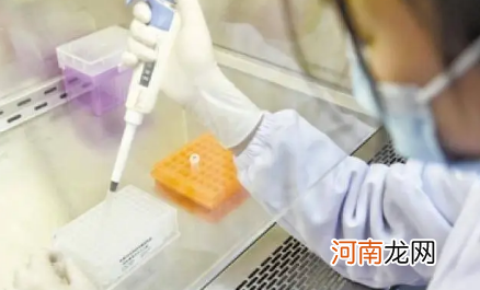 2022年上海大学生清明返沪要提供核酸证明吗