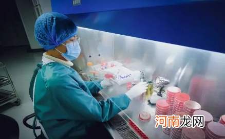 2022年上海大学生清明返沪要提供核酸证明吗