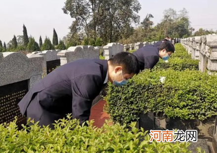 2022上海扫墓预约平台为何预约不成功