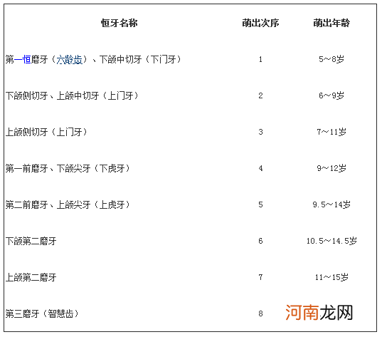 恒牙的萌出有时间和次序