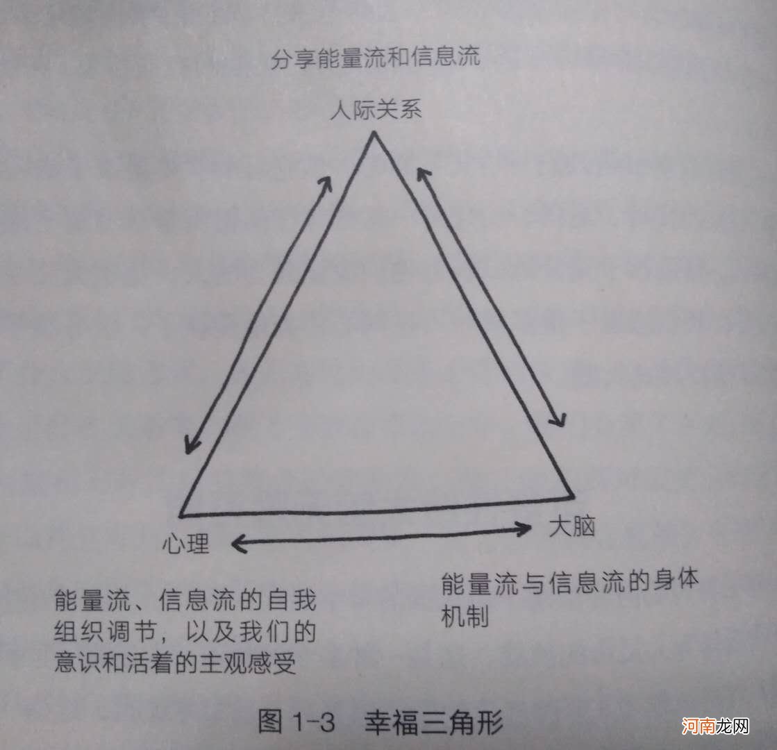 《如何让孩子自觉又主动》：塑造开放式大脑，孩子的幸福魔法