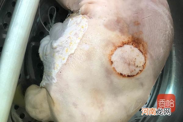 正宗广东胡椒猪肚鸡的做法步骤 猪肚鸡的制作方法及配料窍门