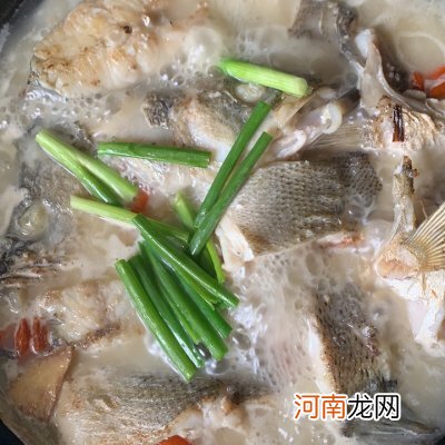 最好吃的鲈鱼汤家常做法 鲈鱼的做法炖汤