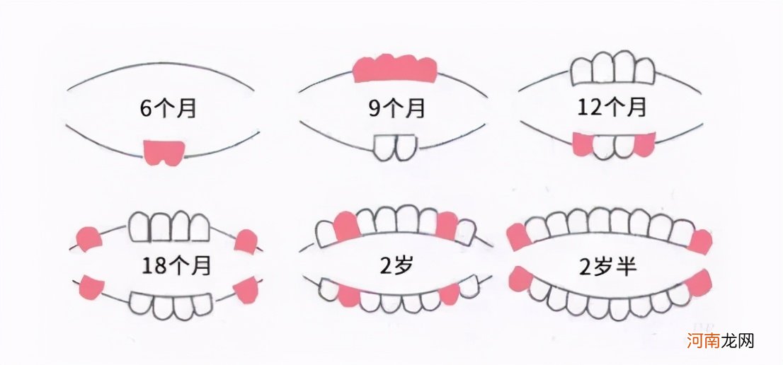 关于宝宝长牙你还有多少误区？护理不当娃遭罪，家长别不以为意