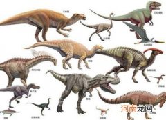 已知恐龙种类盘点 恐龙的种类一共有多少