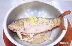 分享鱼肉最常见的5种做法 草鱼头的做法窍门