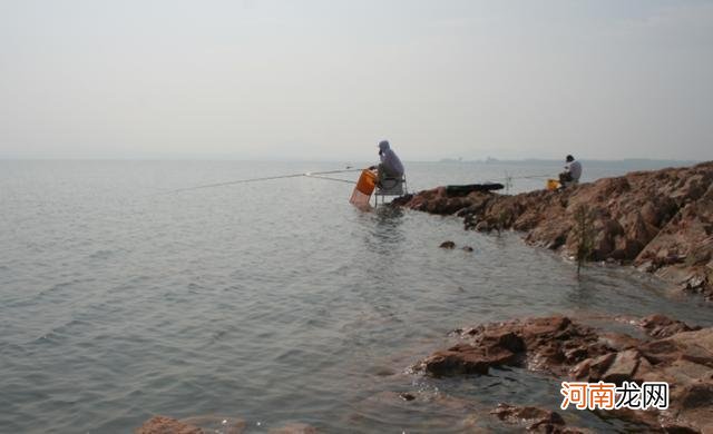 什么样的浮漂灵敏又好用？从浮漂的吃铅比入手